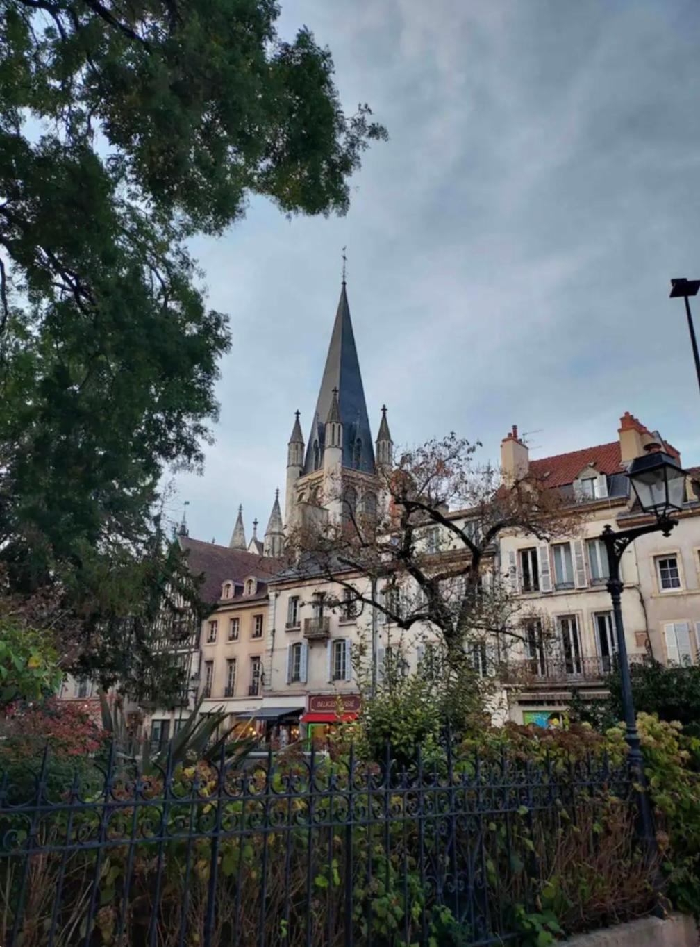 Le Charme Dubois Lägenhet Dijon Exteriör bild